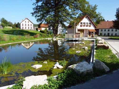 Ortsteil Troschenreuth 2